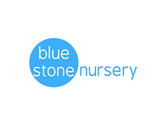 Bluestone